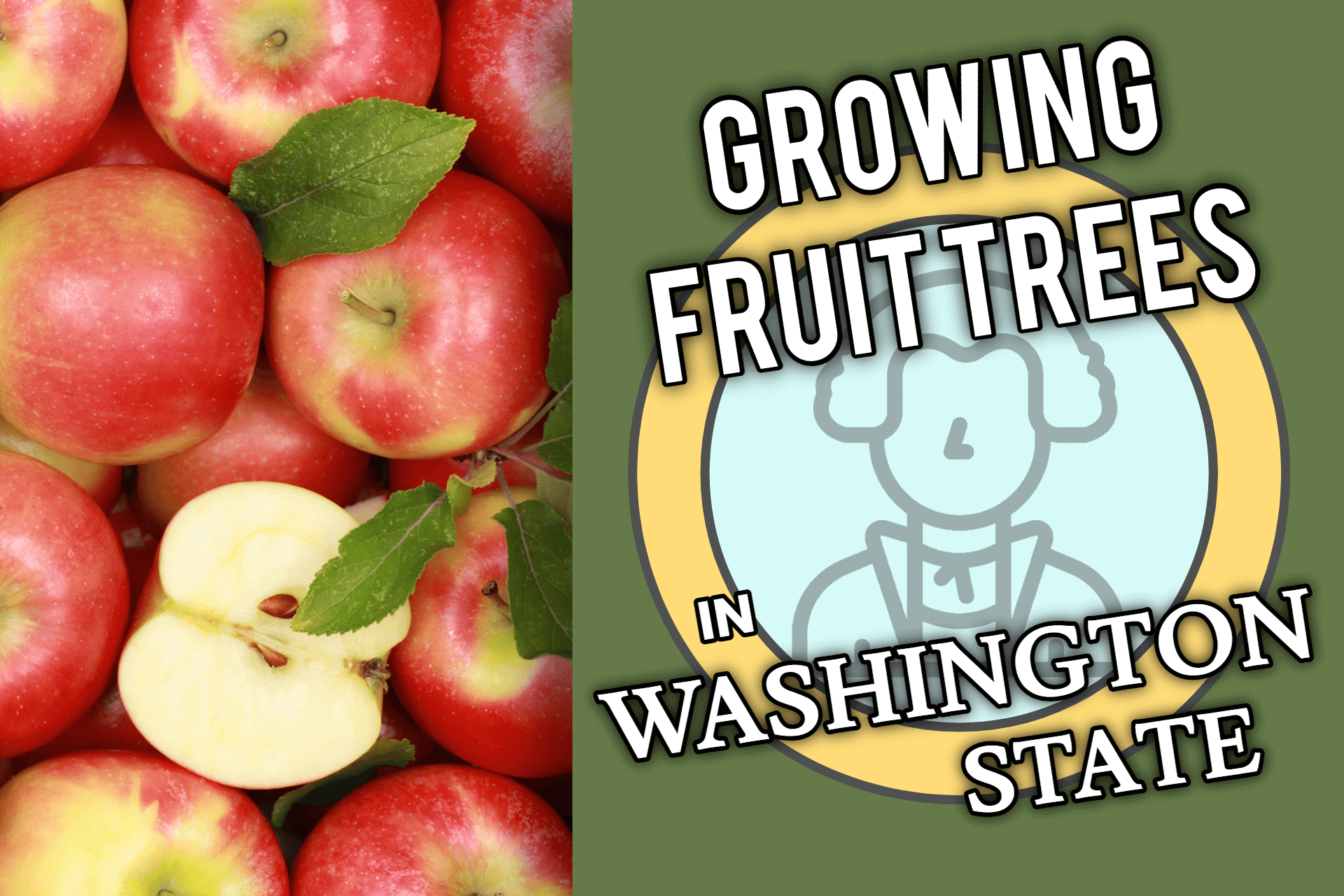 What Fruit Trees Can I grow In Washington?