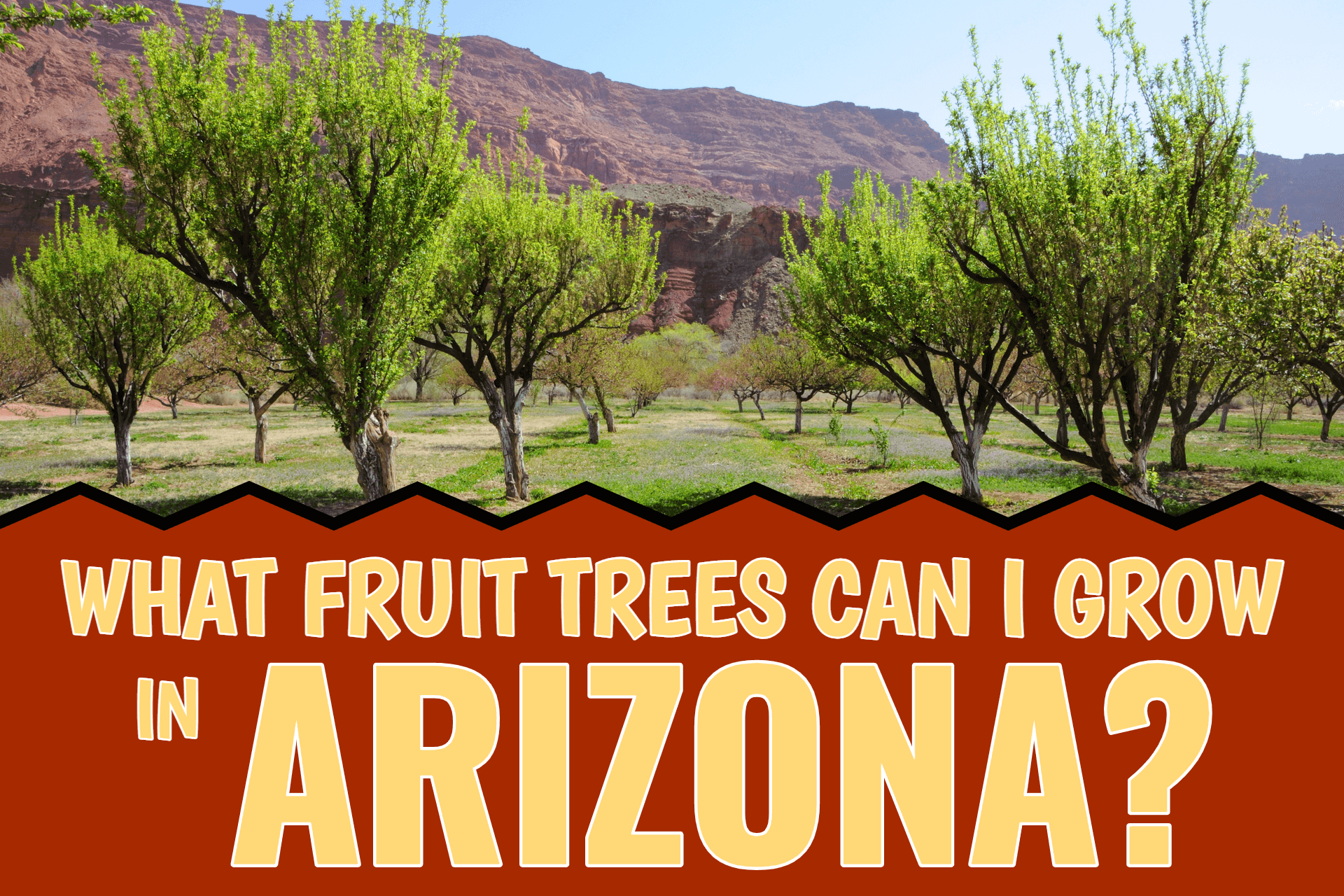 What Fruit Trees Can I grow In Arizona?