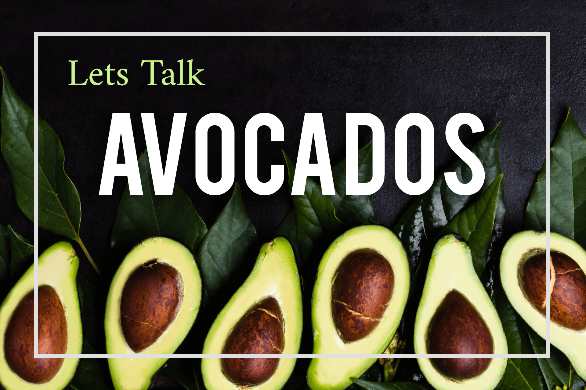 Let's Talk Avocado Trees