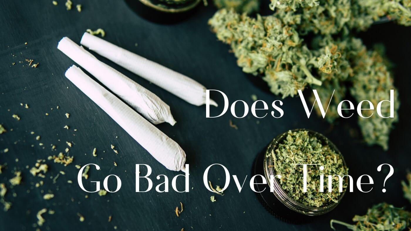 Does Weed Go Bad Over Time?
