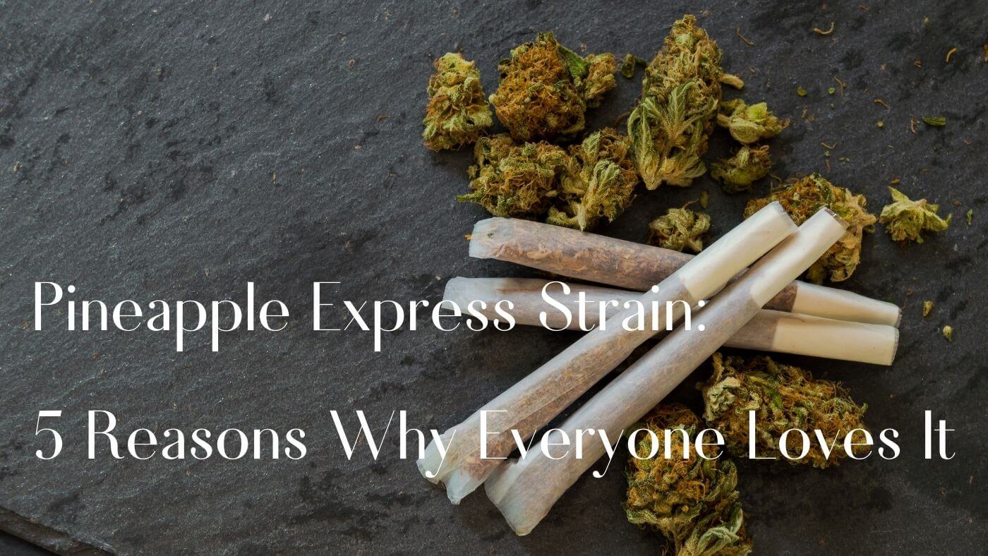 Pineapple Express Strain: 5 Reasons Why Everyone Loves It
