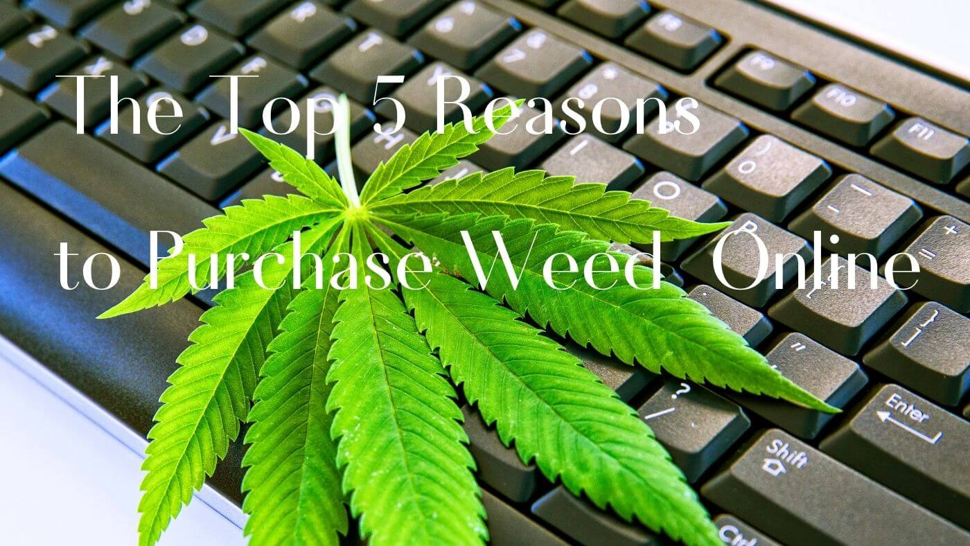 The Top 5 Reasons to Purchase Weed Online
