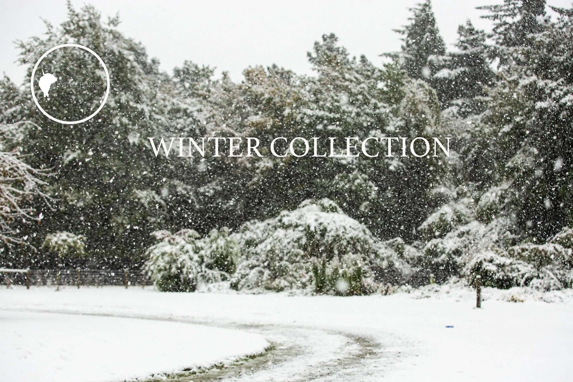 The  Winter Collection