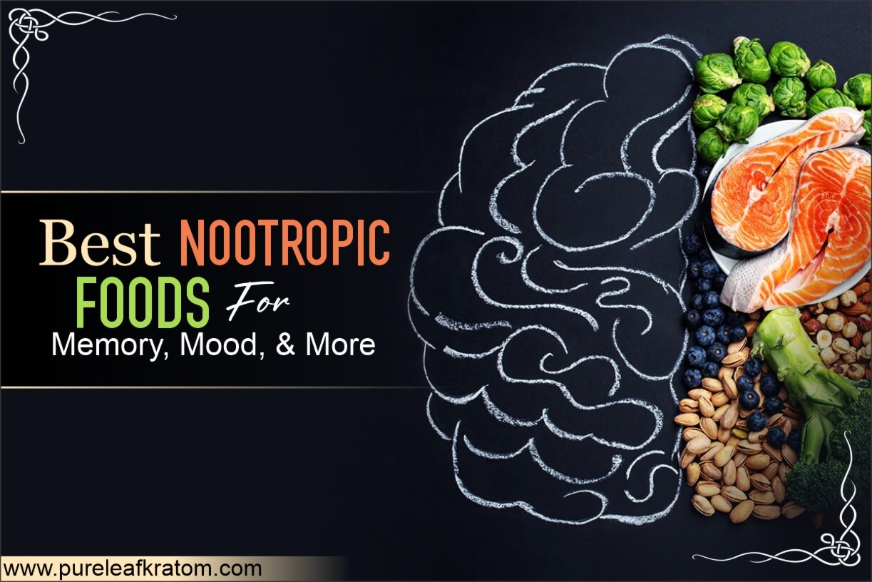 The Best Nootropics Food Recipes for Memory & Concentration