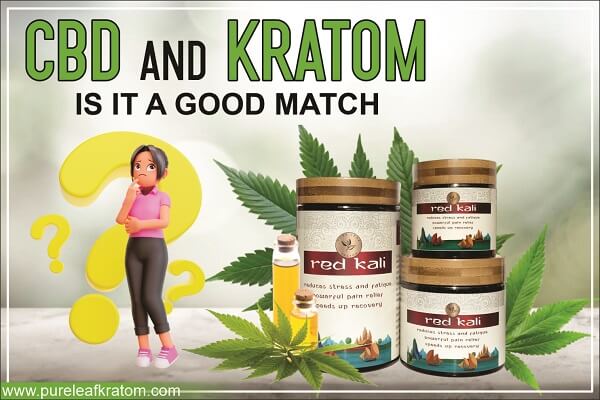 Should You Try CBD and Kratom Together?