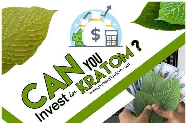 Investing in Kratom: The New Financial Craze