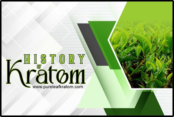 The Future, The Present, And The History Of Kratom