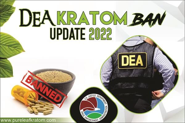 The Latest Update on DEA Kratom Ban [2023]