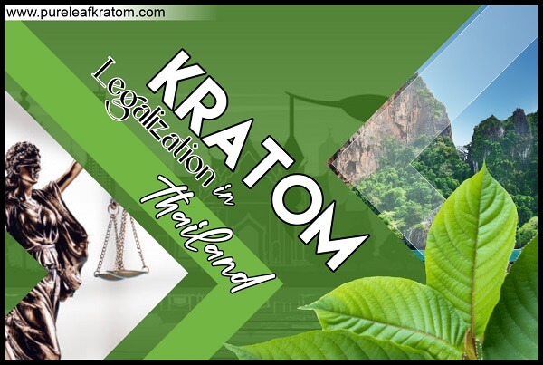 Kratom in Thailand: Can I Legally Consume this plant material?