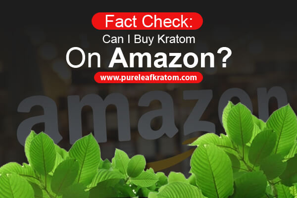 Fact Check: Can I Buy Kratom On Amazon?