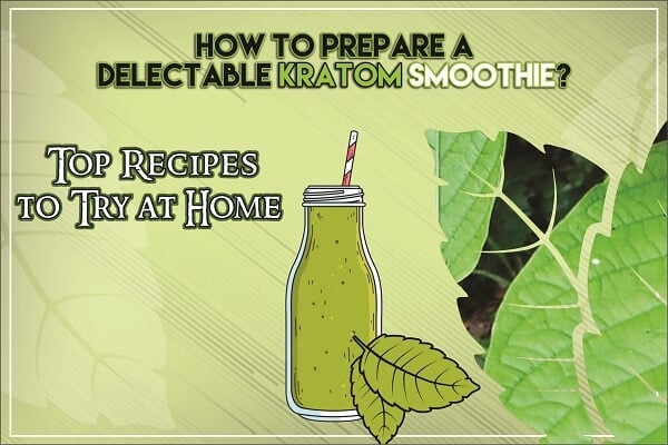 How to Prepare a Delectable Kratom Smoothie? Top Recipes to Try at Home
