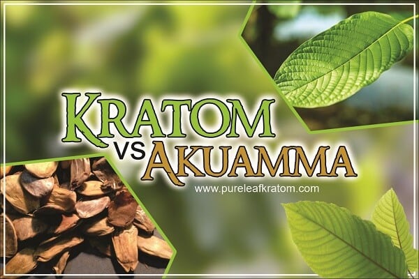 How Do Kratom and Akuamma Differ From Each Other?