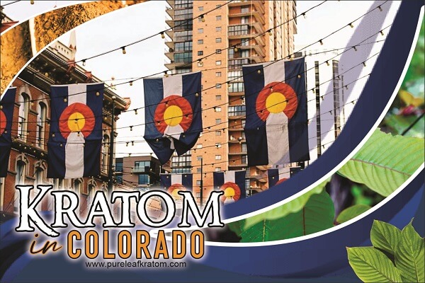 Is It Legal to Take Kratom in Colorado? Don’t Miss this Read
