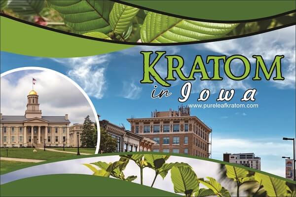 Buy Kratom in Iowa? - Best Shops To Buy Kratom in State