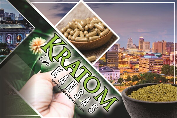 Is it Legal to Use or Possess Kratom in Kansas?