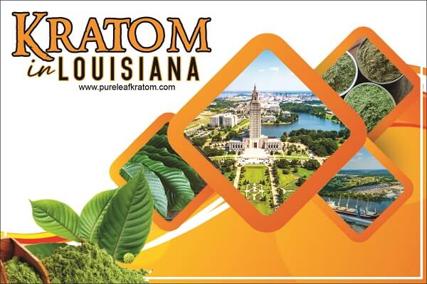 Kratom In Louisiana: Laws, Regulations And Buying Guide