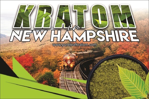 Where to Buy Pure Kratom in New Hampshire? - Know the Legality Status