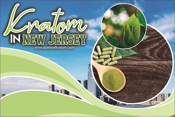 Looking for Kratom in New Jersey? Read All About It First