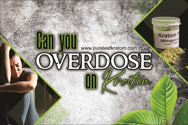 Can I Overdose on Kratom? A Complete Guide You Can’t Miss Reading Through