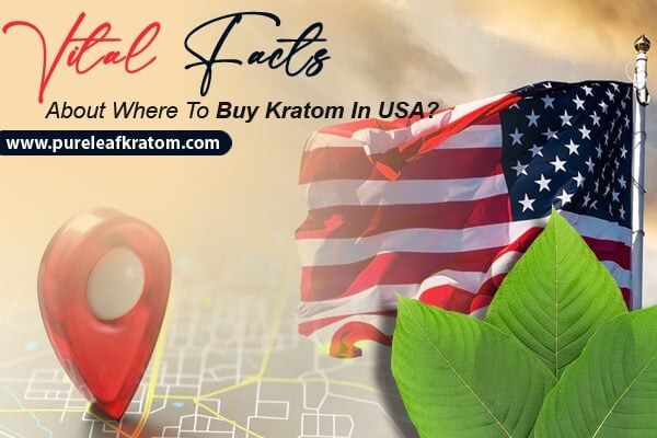 Facts About Where To Buy Kratom In The United States Of America?