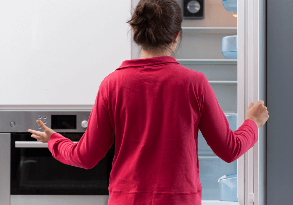 Picking the Perfect Fridge Freezer: What Style Suits You?