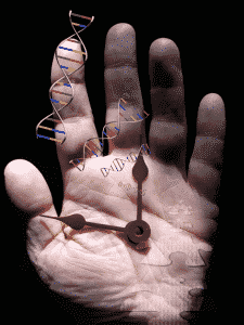 DNA Mutations & Aging