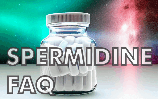 Spermidine Questions and Answers