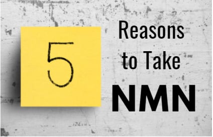 5 Reasons to Take NMN Supplements in Your Younger Years