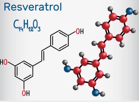 Resveratrol Bioavailability