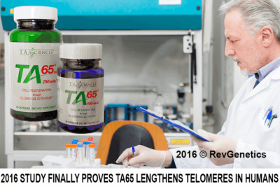 TA-65 Lengthens Telomeres in Humans