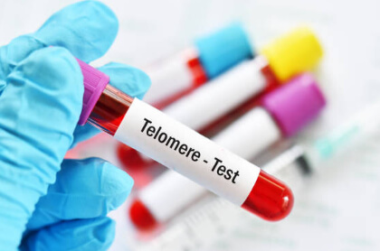 Telomeres, Stem Cells And Cancer