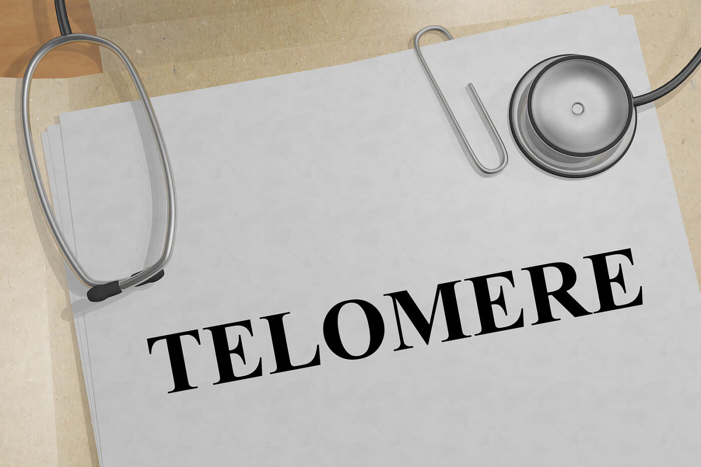 Telomeres and Muscular Dystrophy