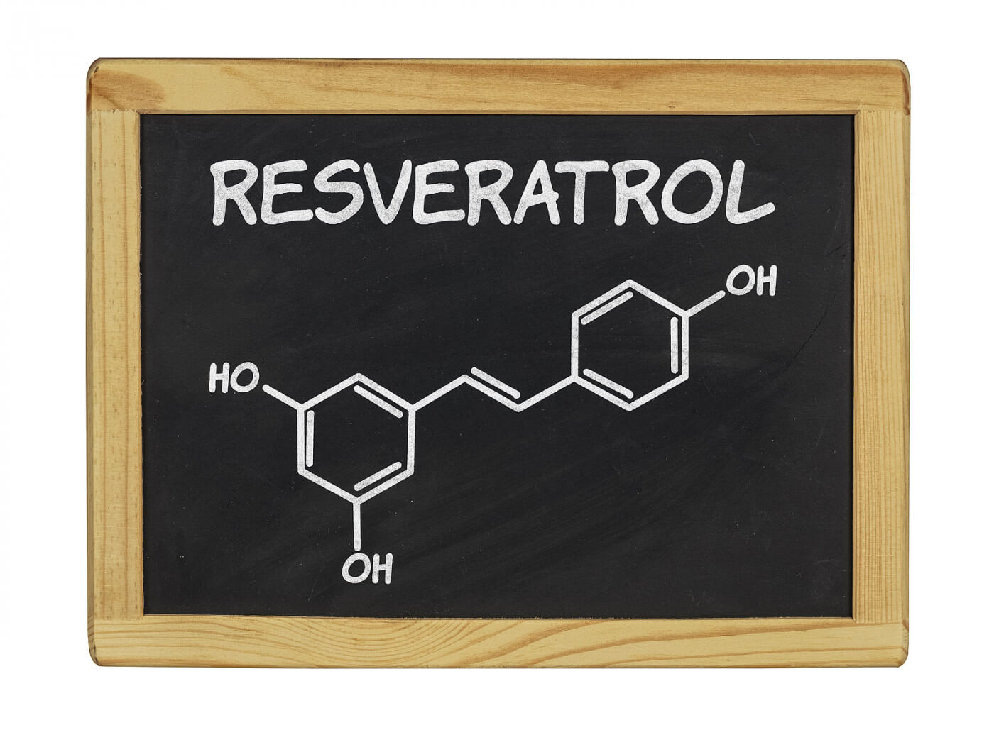 The Resveratrol Forum In The New York Academy of Sciences