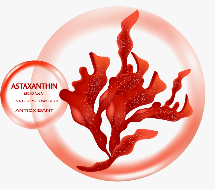 Astaxanthin: The Secret Your Skin Craves