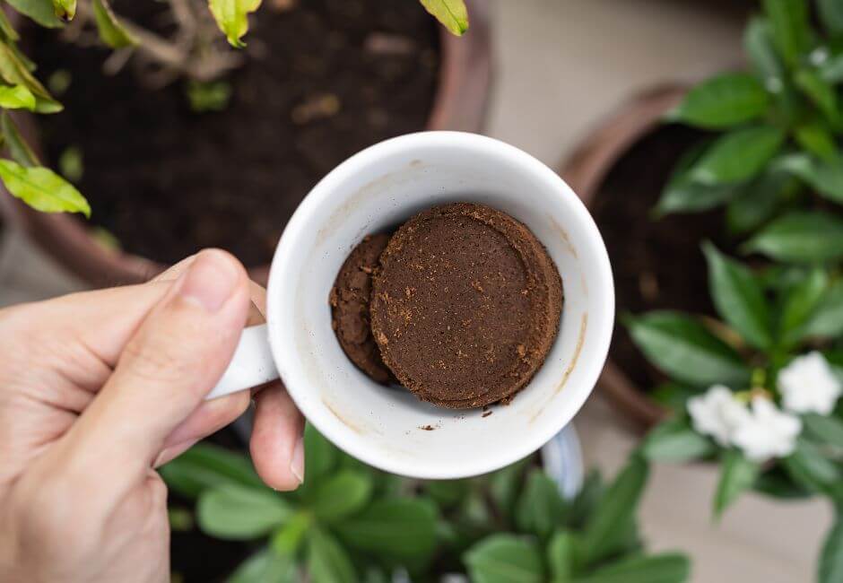 How To Use Coffee Grounds to Keep Mosquitos Away