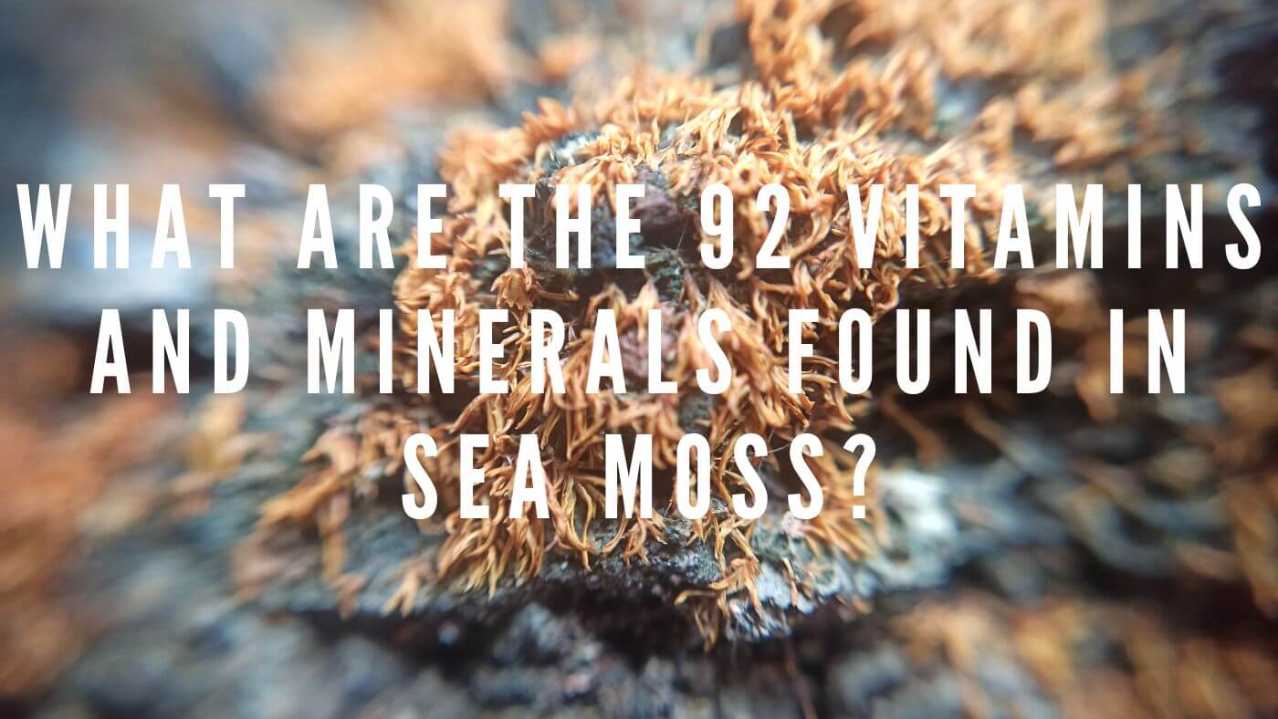 Discover the 92 Essential Vitamins and Minerals Found In Sea Moss