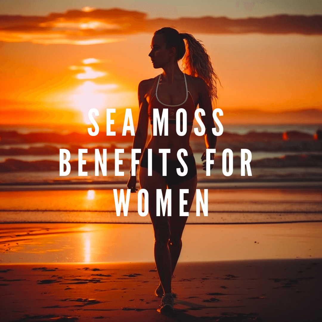 Sea Moss Benefits for Women: The Benefits Of This Superfood