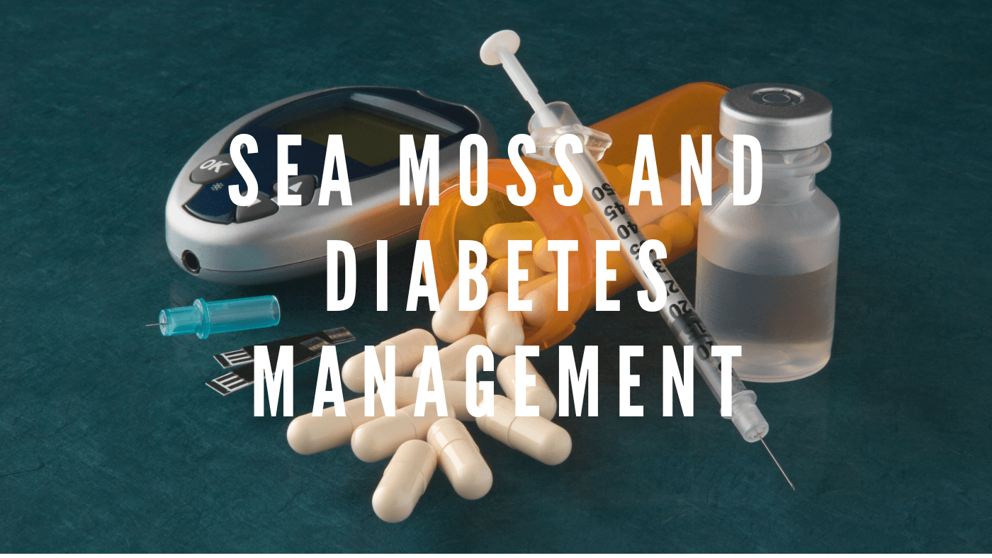 Sea Moss and Diabetes: Can It Help Manage Blood Sugar Levels?