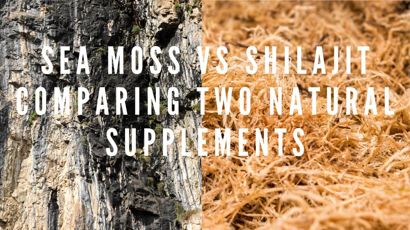 Sea Moss vs Shilajit: Comparing Two Natural Supplements
