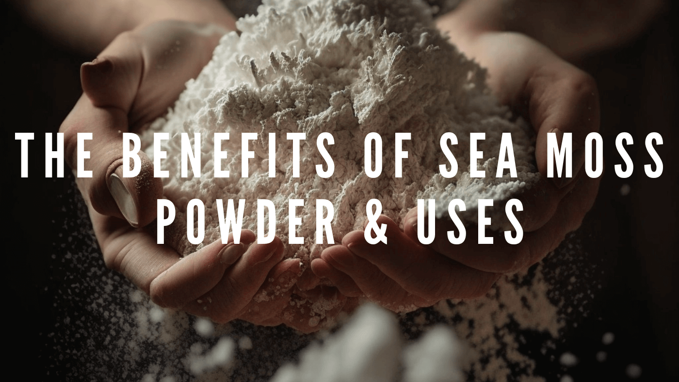The Benefits of Sea Moss Powder & Uses