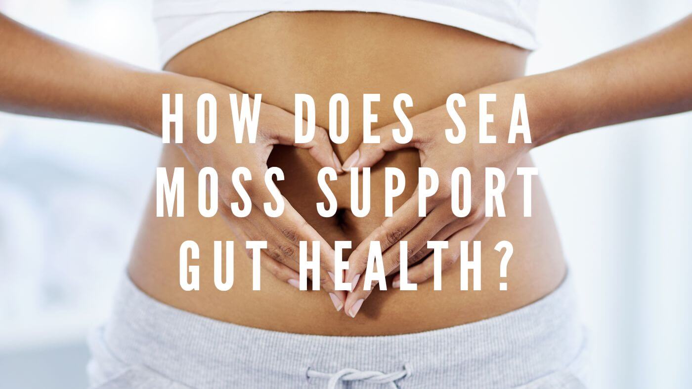 Sea Moss for Gut Health: How It Supports Digestive Wellness.