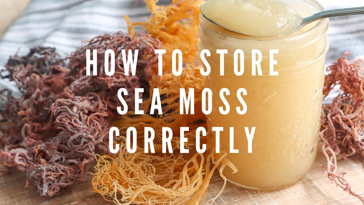 How to Store Sea Moss: Tips for Keeping It Fresh and Potent