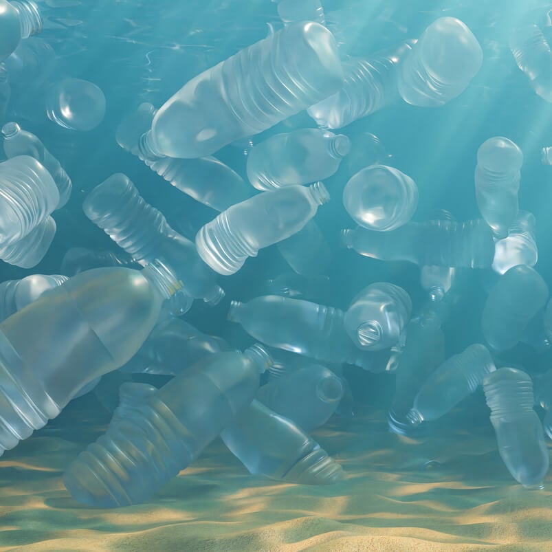 Why Are Sea Animals Eating So Much Plastic? | Know More!