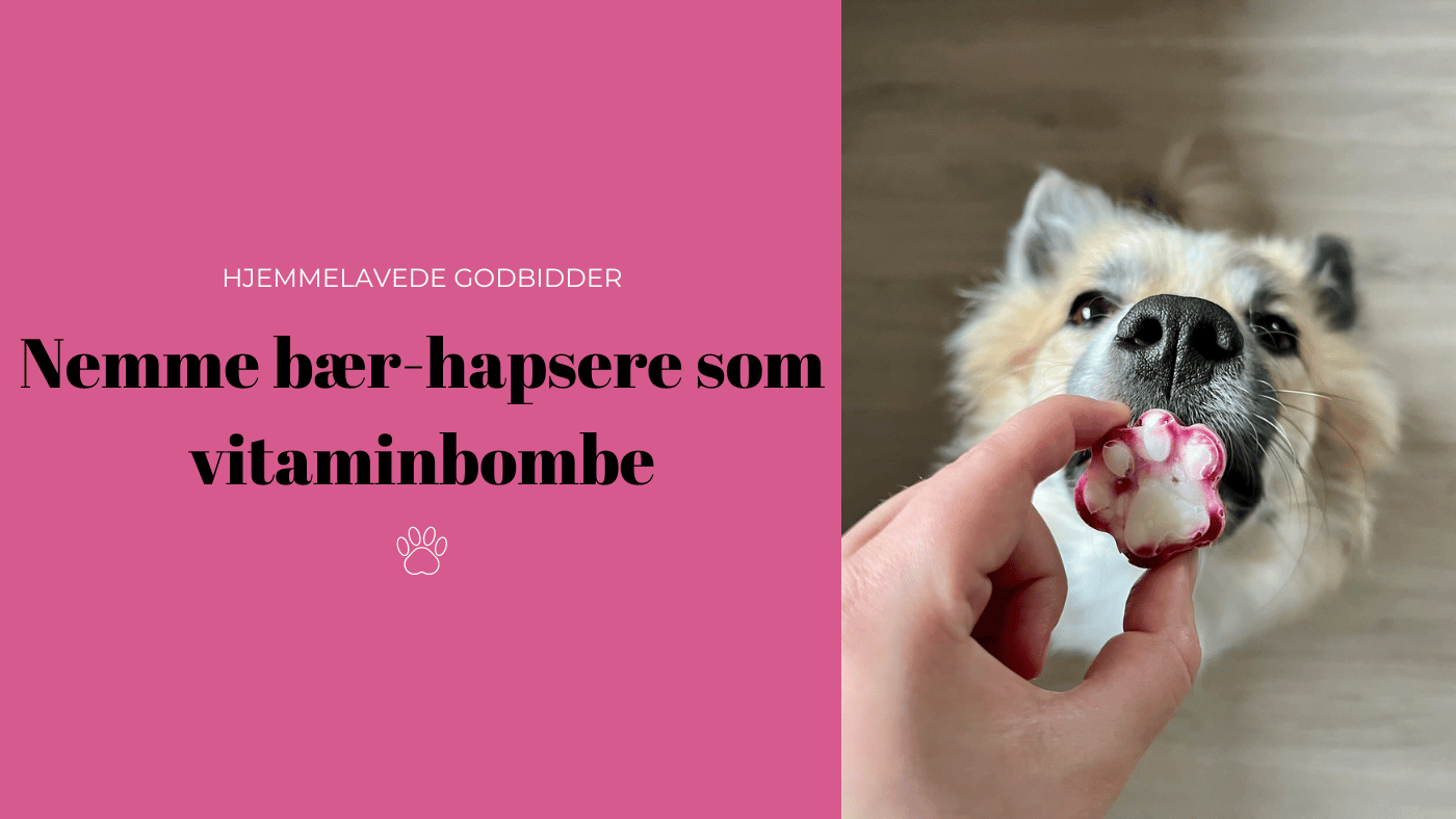 Skab I nåde af opskrift Sunde hjemmelavede hundegodbidder! – Confetti Dogs