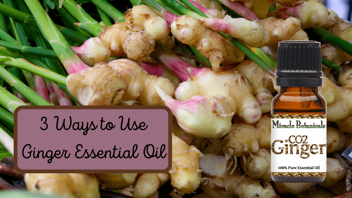 3 Ways to Use Ginger Essential Oil