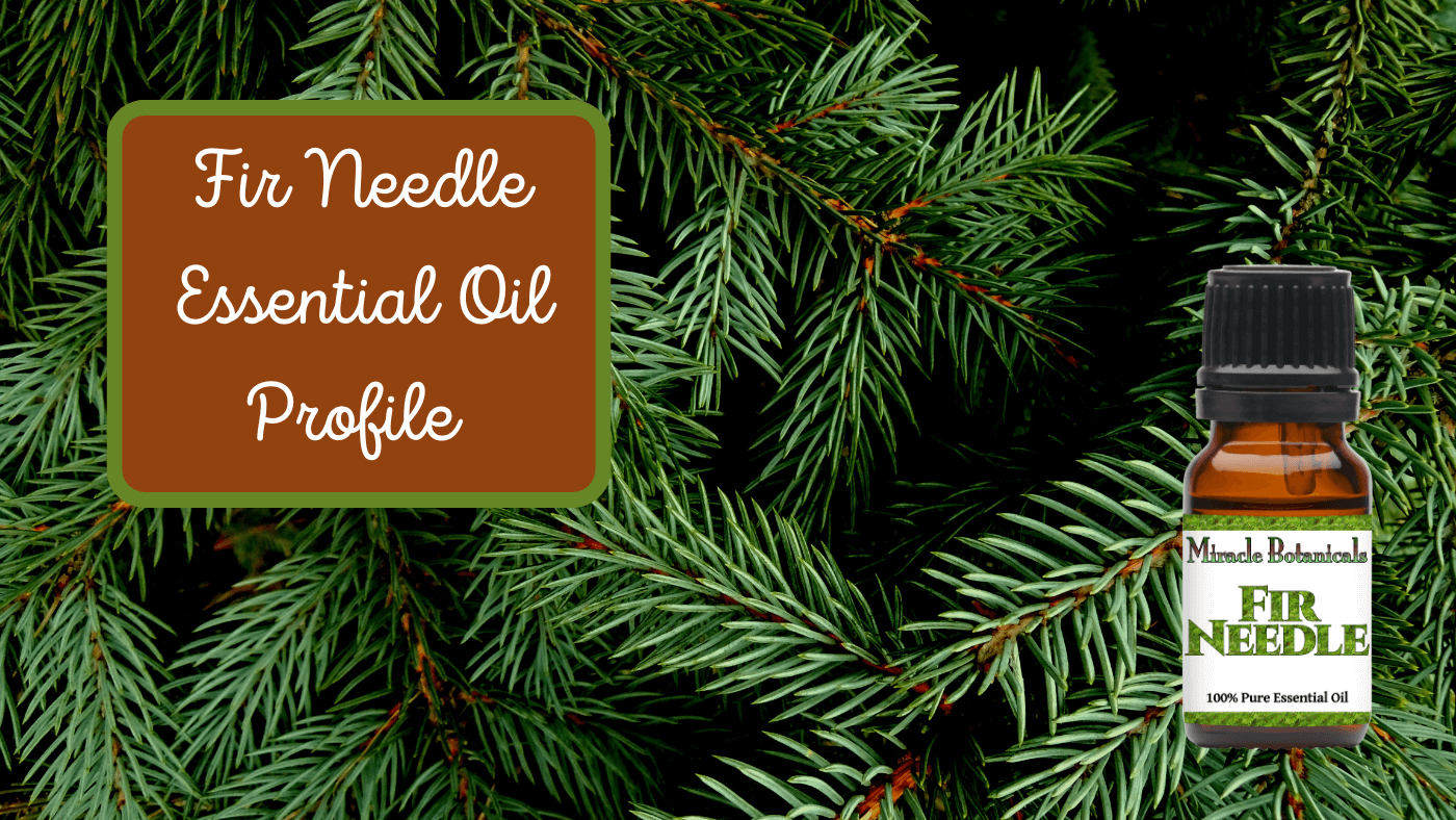 Clear the Air with Fir Needle Essential Oil