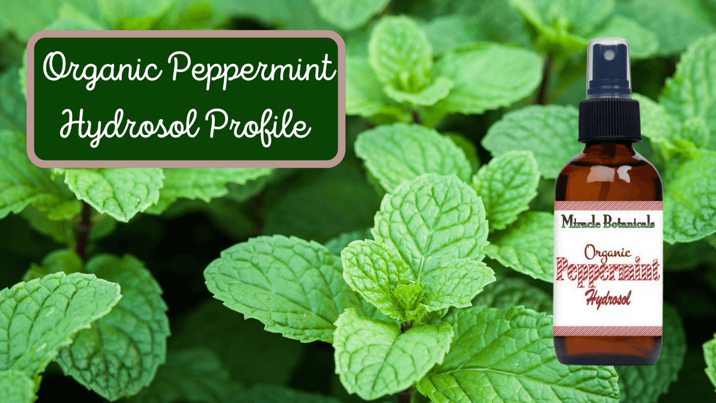Get Fresh with Peppermint Hydrosol