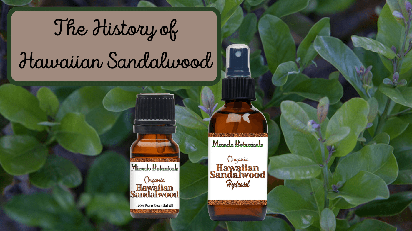 History of Hawaiian Sandalwood Essential Oil