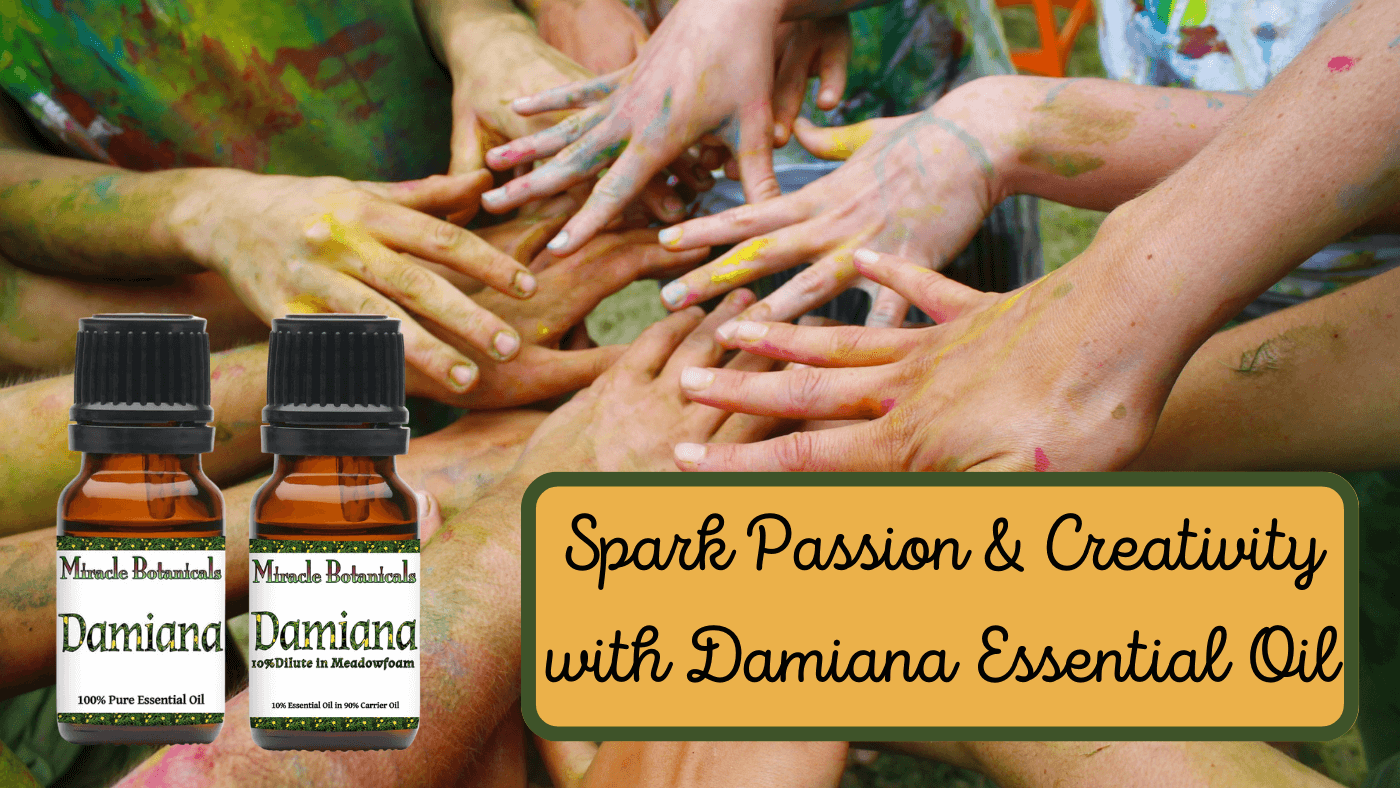 Increase your Passion and Creation energy with Damiana Essential Oil