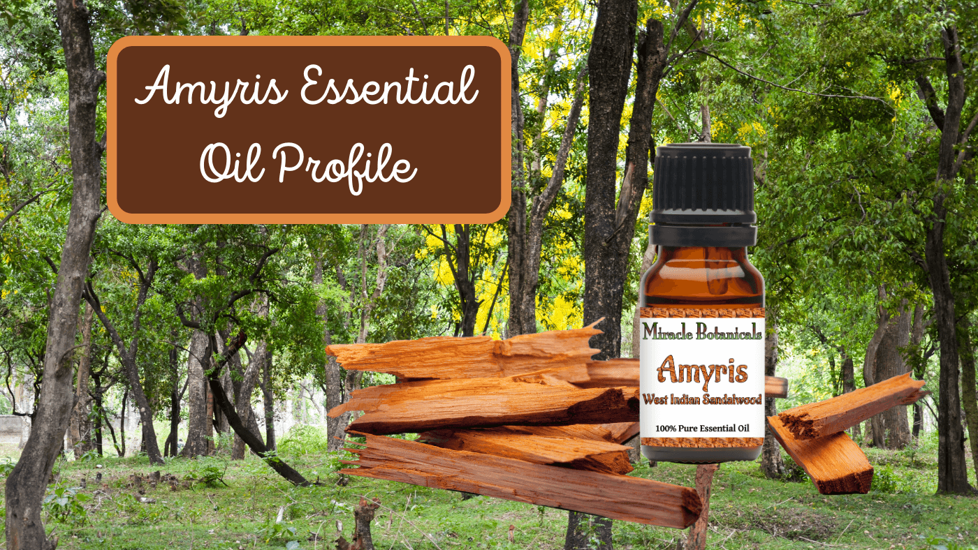 Amyris Essential Oil Profile